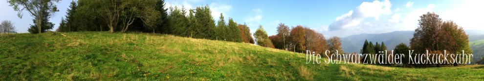 Die Schwarzwälder Kuckucksuhr