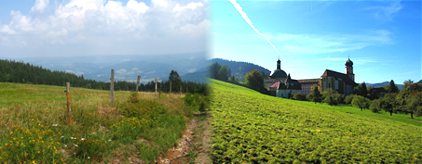 Schwarzwald Impressionen Schwarzwald Impressionen