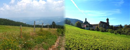 Schwarzwald Impressionen