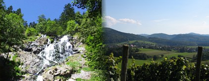 Schwarzwald Impressionen