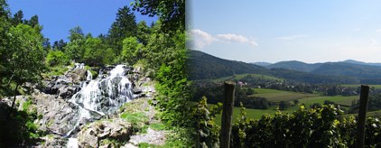 Schwarzwald Impressionen Schwarzwald Impressionen