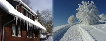 Schwarzwald Impressionen